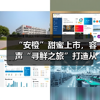 “安橙”甜蜜上市,容声“寻鲜之旅”打造从田间到舌尖的价值共享链(图1) “安橙”甜蜜上市,容声“寻鲜之旅”打造从田间到舌尖的价值共享链(图1)