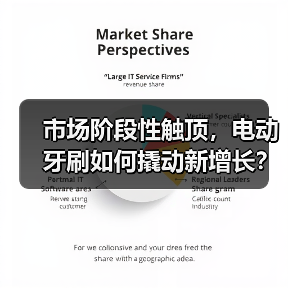 市场阶段性触顶，电动牙刷如何撬动新增长？（图4）