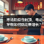 市场阶段性触顶,电动牙刷如何撬动新增长?(图3) 市场阶段性触顶,电动牙刷如何撬动新增长?(图3)