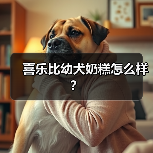 喜乐比幼犬奶糕怎么样？（图1）