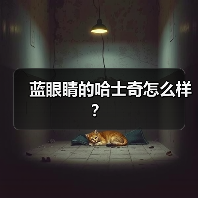 蓝眼睛的哈士奇怎么样？（图2）