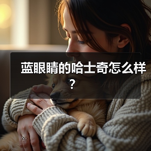 蓝眼睛的哈士奇怎么样？（图1）