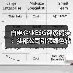 白电企业ESG评级揭晓：头部公司引领绿色转型（图4）