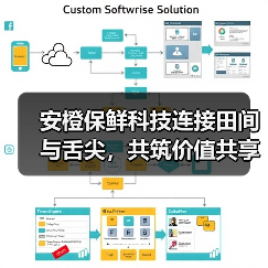 安橙保鲜科技连接田间与舌尖,共筑价值共享链(图2) 安橙保鲜科技连接田间与舌尖,共筑价值共享链(图2)