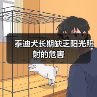 泰迪犬长期缺乏阳光照射的危害（图1）