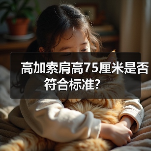 高加索肩高75厘米是否符合标准？（图3）