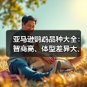 亚马逊鹦鹉品种大全：智商高、体型差异大、寿命长的宠物选择（图1）