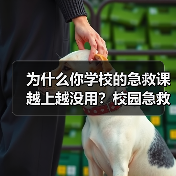 为什么你学校的急救课越上越没用?校园急救教育的三个致命坑(图1) 为什么你学校的急救课越上越没用?校园急救教育的三个致命坑(图1)