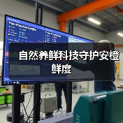 自然养鲜科技守护安橙鲜度(图4) 自然养鲜科技守护安橙鲜度(图4)