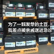 为了一颗发芽的土豆，我差点被亲戚送进急诊室：医学谣言打假（图2）