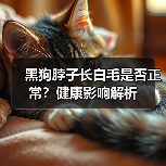 黑狗脖子长白毛是否正常？健康影响解析（图4）