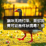 猫咪无精打采、面部发黄可能是杯状病毒？宠物主人速看！（图3）