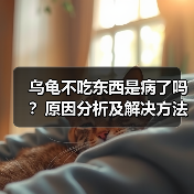 乌龟不吃东西是病了吗？原因分析及解决方法（图2）