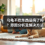 乌龟不吃东西是病了吗？原因分析及解决方法（图1）
