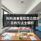 狗狗误食葡萄竟会致命？急救方法全解析（图1）
