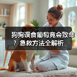 狗狗误食葡萄竟会致命？急救方法全解析（图3）