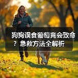 狗狗误食葡萄竟会致命？急救方法全解析（图2）