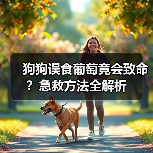 狗狗误食葡萄竟会致命？急救方法全解析（图4）