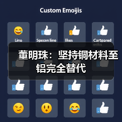 董明珠:坚持铜材料至铝完全替代(图1) 董明珠:坚持铜材料至铝完全替代(图1)