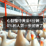 心脏骤停黄金4分钟,90%的人第一步就错了(图2) 心脏骤停黄金4分钟,90%的人第一步就错了(图2)