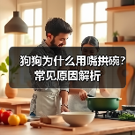 狗狗为什么用嘴拱碗？常见原因解析（图2）