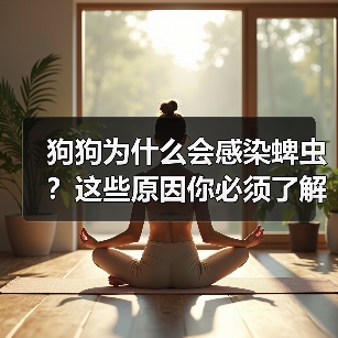 狗狗为什么会感染蜱虫？这些原因你必须了解（图3）