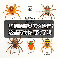 狗狗脑膜炎怎么治疗？这些药物你用对了吗