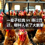 一辈子较真 vs 得过且过，哪种人老了大脑更清醒？阿尔茨海默病预防（图3）