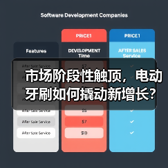 市场阶段性触顶，电动牙刷如何撬动新增长？（图3）