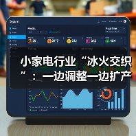 小家电行业“冰火交织”：一边调整一边扩产（图4）