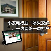 小家电行业“冰火交织”：一边调整一边扩产（图2）