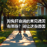 狗狗肝衰竭的常见诱因有哪些？别让这些原因毁掉宠物健康（图2）
