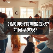 狗狗肺炎有哪些症状？如何早发现？（图1）