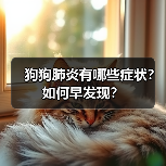 狗狗肺炎有哪些症状？如何早发现？（图2）