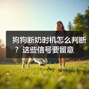 狗狗断奶时机怎么判断？这些信号要留意（图2）