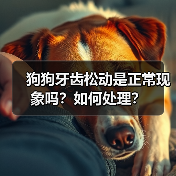 狗狗牙齿松动是正常现象吗？如何处理？（图4）