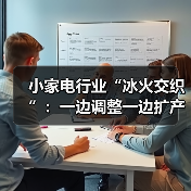小家电行业“冰火交织”：一边调整一边扩产（图2）