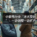小家电行业“冰火交织”：一边调整一边扩产（图4）