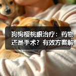 狗狗樱桃眼治疗：药物还是手术？有效方案解析（图3）
