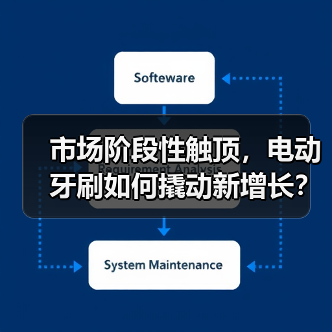 市场阶段性触顶，电动牙刷如何撬动新增长？（图4）