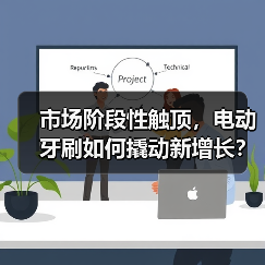 市场阶段性触顶，电动牙刷如何撬动新增长？（图1）