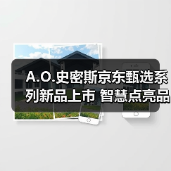 A.O.史密斯京东甄选系列新品上市 智慧点亮品质生活（图1）