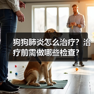 狗狗肺炎怎么治疗？治疗前需做哪些检查？（图4）