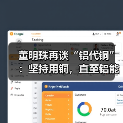 董明珠再谈“铝代铜”：坚持用铜，直至铝能完全替代（图4）