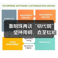 董明珠再谈“铝代铜”：坚持用铜，直至铝能完全替代（图1）