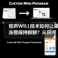 容声WILL技术如何让果冻橙保持新鲜？从田间到舌尖的保鲜密码（图3）
