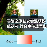 寻鲜之旅助农实践获权威认可 社会责任成果如何落地？（图2）