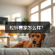 松狮看家怎么样？（图1）