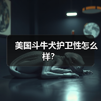 美国斗牛犬护卫性怎么样？（图1）