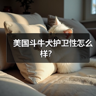 美国斗牛犬护卫性怎么样？（图4）